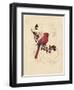 Filigree Cardinal-Chad Barrett-Framed Art Print