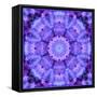 Filigree Mandala Ornament from Flower Photographs, Multiple Layer Work-Alaya Gadeh-Framed Stretched Canvas