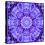 Filigree Mandala Ornament from Flower Photographs, Multiple Layer Work-Alaya Gadeh-Stretched Canvas