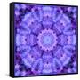 Filigree Mandala Ornament from Flower Photographs, Multiple Layer Work-Alaya Gadeh-Framed Stretched Canvas