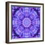 Filigree Mandala Ornament from Flower Photographs, Multiple Layer Work-Alaya Gadeh-Framed Photographic Print