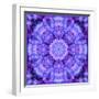 Filigree Mandala Ornament from Flower Photographs, Multiple Layer Work-Alaya Gadeh-Framed Photographic Print