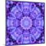 Filigree Mandala Ornament from Flower Photographs, Multiple Layer Work-Alaya Gadeh-Mounted Photographic Print