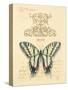 Filigree Papillon-Chad Barrett-Stretched Canvas