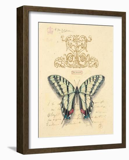 Filigree Papillon-Chad Barrett-Framed Art Print