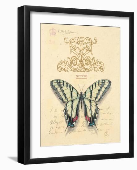 Filigree Papillon-Chad Barrett-Framed Art Print