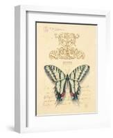 Filigree Papillon-Chad Barrett-Framed Art Print