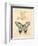 Filigree Papillon-Chad Barrett-Framed Art Print