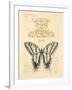 Filigree Papillon-Chad Barrett-Framed Art Print