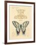 Filigree Papillon-Chad Barrett-Framed Art Print