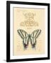 Filigree Papillon-Chad Barrett-Framed Art Print