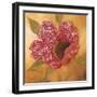 Filigree Poppy 2-Sandra Smith-Framed Art Print