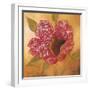 Filigree Poppy 2-Sandra Smith-Framed Art Print