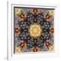 Filigree Shining Mandala Ornament from Flower Photographs, Conceptual Layer Work-Alaya Gadeh-Framed Photographic Print