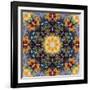 Filigree Shining Mandala Ornament from Flower Photographs, Conceptual Layer Work-Alaya Gadeh-Framed Photographic Print