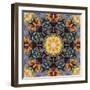 Filigree Shining Mandala Ornament from Flower Photographs, Conceptual Layer Work-Alaya Gadeh-Framed Photographic Print