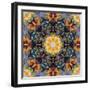 Filigree Shining Mandala Ornament from Flower Photographs, Conceptual Layer Work-Alaya Gadeh-Framed Photographic Print