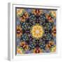 Filigree Shining Mandala Ornament from Flower Photographs, Conceptual Layer Work-Alaya Gadeh-Framed Photographic Print