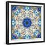 Filigree Shining Mandala Ornament from Flower Photographs, Conceptual Layer Work-Alaya Gadeh-Framed Photographic Print