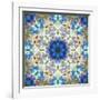 Filigree Shining Mandala Ornament from Flower Photographs, Conceptual Layer Work-Alaya Gadeh-Framed Photographic Print