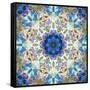 Filigree Shining Mandala Ornament from Flower Photographs, Conceptual Layer Work-Alaya Gadeh-Framed Stretched Canvas