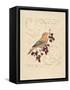 Filigree Songbird-Chad Barrett-Framed Stretched Canvas