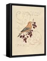 Filigree Songbird-Chad Barrett-Framed Stretched Canvas