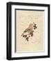 Filigree Songbird-Chad Barrett-Framed Art Print