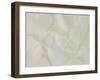 Filigree-Assaf Frank-Framed Giclee Print