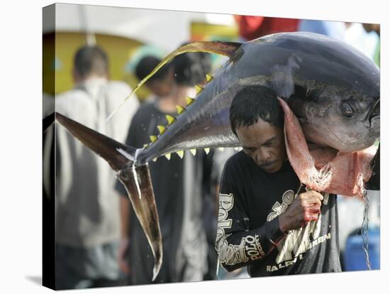 Filipino Fisherman Lifts Tuna at the General Santos City Port, Southern Philippines-null-Stretched Canvas