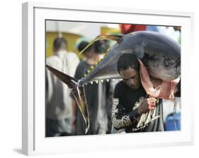 Filipino Fisherman Lifts Tuna at the General Santos City Port, Southern Philippines-null-Framed Photographic Print