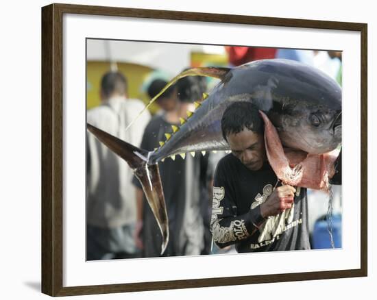 Filipino Fisherman Lifts Tuna at the General Santos City Port, Southern Philippines-null-Framed Photographic Print