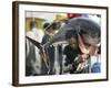 Filipino Fisherman Lifts Tuna at the General Santos City Port, Southern Philippines-null-Framed Photographic Print