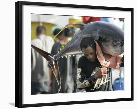 Filipino Fisherman Lifts Tuna at the General Santos City Port, Southern Philippines-null-Framed Photographic Print