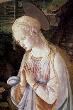Virgin and Child with St. Jerome and St. Dominic (Oil and Tempera on Panel)-Filippino Lippi-Giclee Print