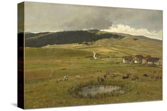 Stretched Canvas Print, , large