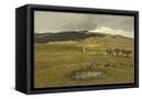 Canvas Black
