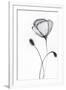 Gramercy White