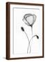 Brown Frame