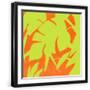 Black Frame
