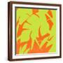 Brown Frame