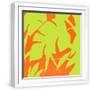 White Frame