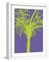 Chelsea White