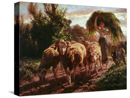 Stretched Canvas Print, , large