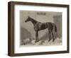 Fille De L'Air, the Winner of the Oaks for 1864-Harry Hall-Framed Premium Giclee Print