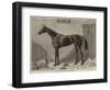 Fille De L'Air, the Winner of the Oaks for 1864-Harry Hall-Framed Premium Giclee Print