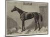 Fille De L'Air, the Winner of the Oaks for 1864-Harry Hall-Mounted Premium Giclee Print