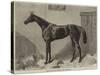 Fille De L'Air, the Winner of the Oaks for 1864-Harry Hall-Stretched Canvas