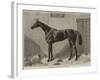 Fille De L'Air, the Winner of the Oaks for 1864-Harry Hall-Framed Giclee Print