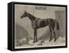 Fille De L'Air, the Winner of the Oaks for 1864-Harry Hall-Framed Stretched Canvas